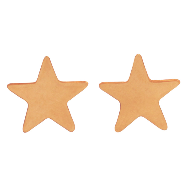 la•Label Jewelry Studs Star large LE-016-STA